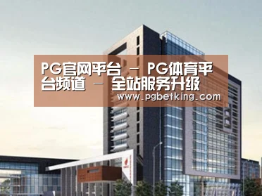 案例展示七