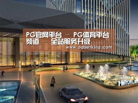 案例展示二